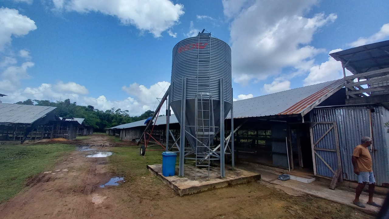 Dedicated To Ethical & Sustainable Poultry Farming